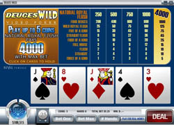 video-poker-deuces-wild
